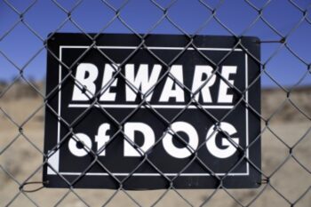 How to Advocate for Safer Dog Bite Prevention Laws in California.