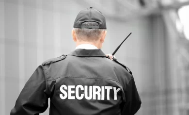 Exploring the Importance of Adequate Security Measures