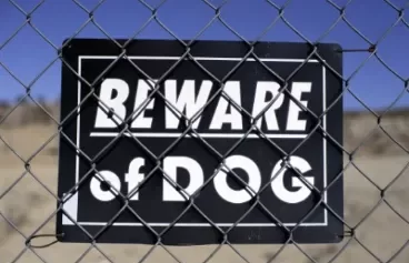 How to Advocate for Safer Dog Bite Prevention Laws in California