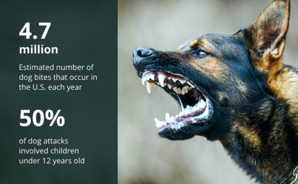 Dog-Bite-Incidents-img